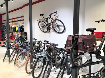 Boutique spécialisée dans la vente d'accessoires pour vélo électrique à  Toulouse en Haute Garonne - MOVEBIKE